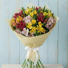 Букет цветов из:  Альстромерии #REPLACE_PRED# Малиновский
